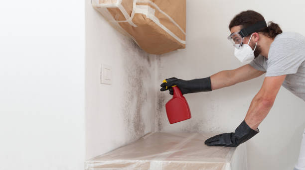 Professional Black Mold Remediation technician working in Zieglerville, PA