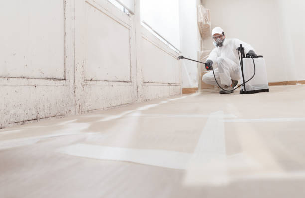 24/7 Emergency Black Mold Remediation experts in Zieglerville, PA